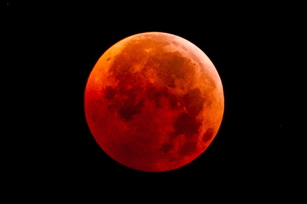 Blood Moons Rising: The World Is About to End